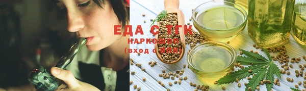 гидра Богородск