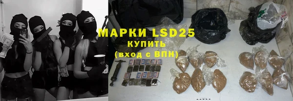 гидра Богородск