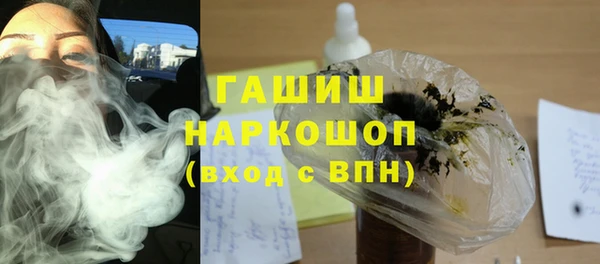 гидра Богородск