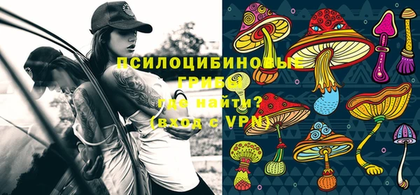 таблы Богородицк