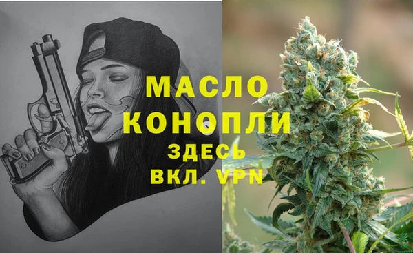 гидра Богородск
