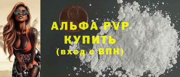 гидра Богородск