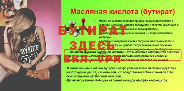 гидра Богородск