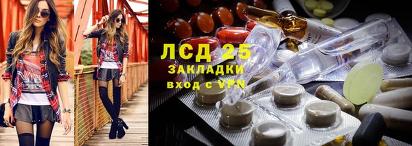 таблы Богородицк