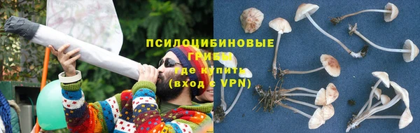 не бодяженный Богданович