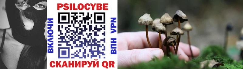 Псилоцибиновые грибы GOLDEN TEACHER  Купить  Шагонар 