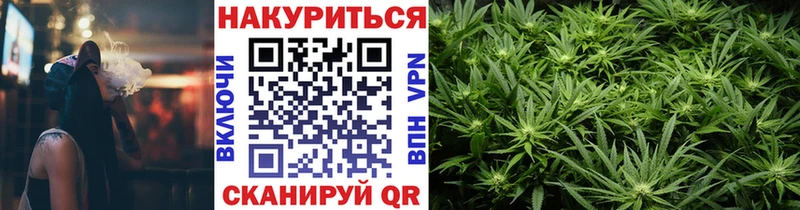 Купить закладки  Шагонар  Шишки марихуана тримм 